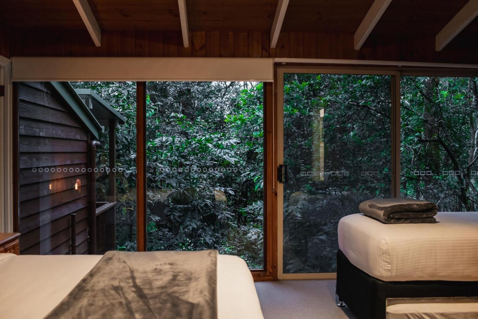 מונטוויל Kondalilla Eco Resort מראה חיצוני תמונה