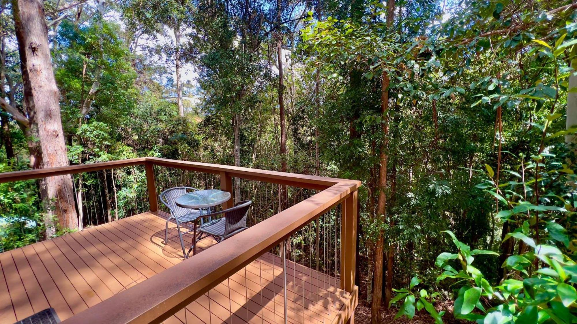 מונטוויל Kondalilla Eco Resort מראה חיצוני תמונה
