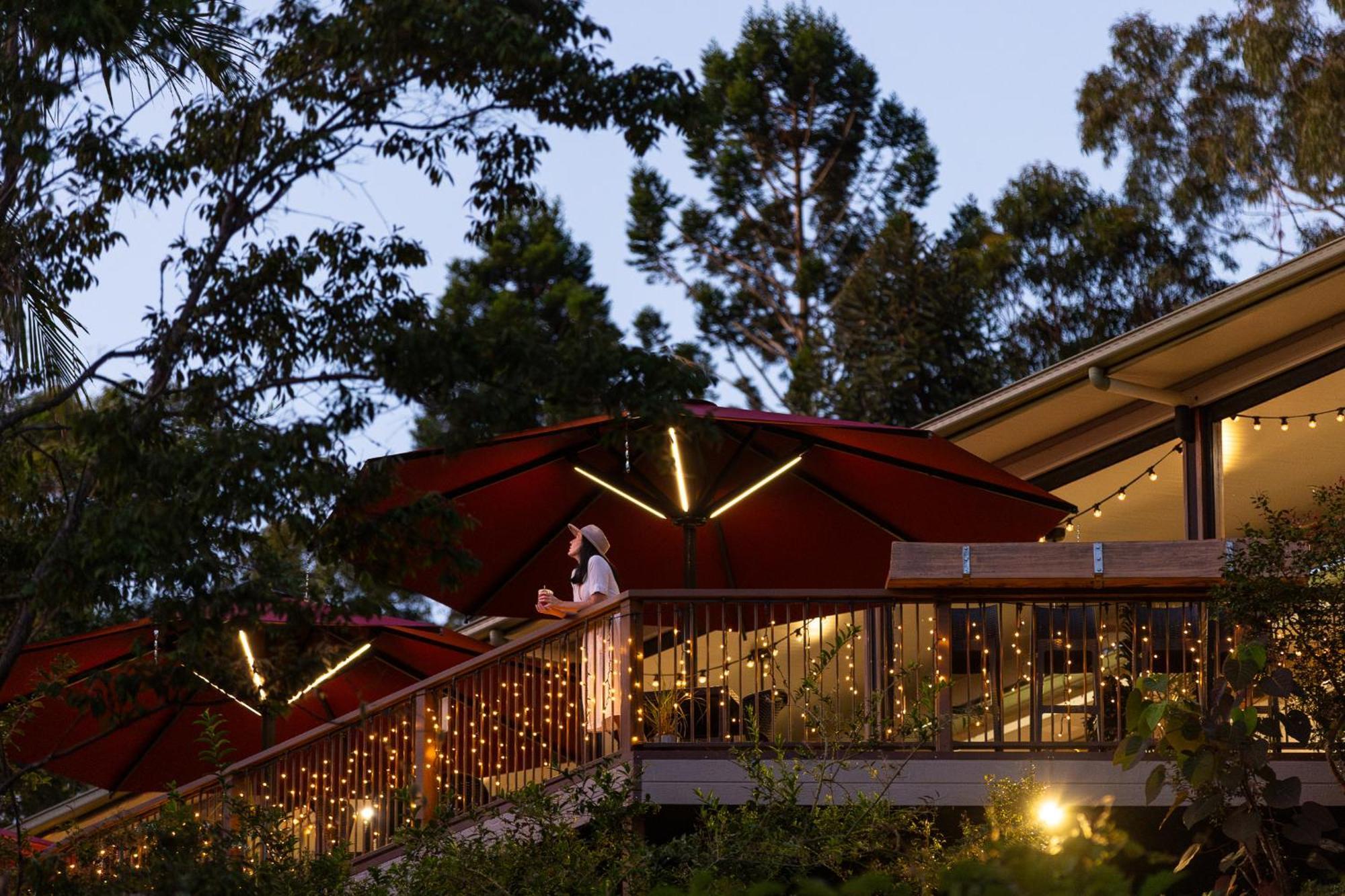 מונטוויל Kondalilla Eco Resort מראה חיצוני תמונה
